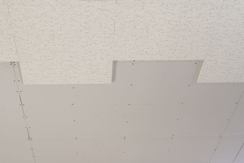 Acoustic Ceiling Options