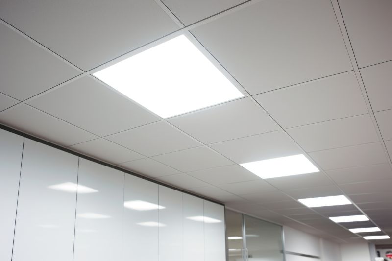Products For Office Ceiling Assemblies in use